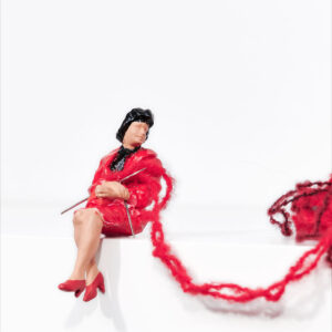 “Weaver with Black Hair” an original assemblage by Liliana Porter