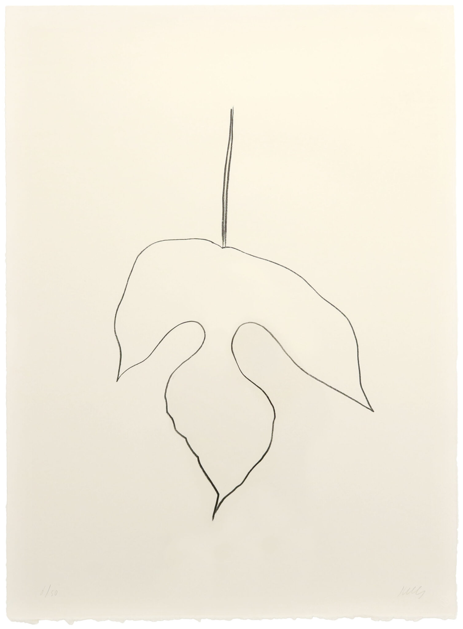 Mulberry Leaf, 1979-1980