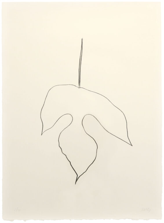 Mulberry Leaf, 1979-1980