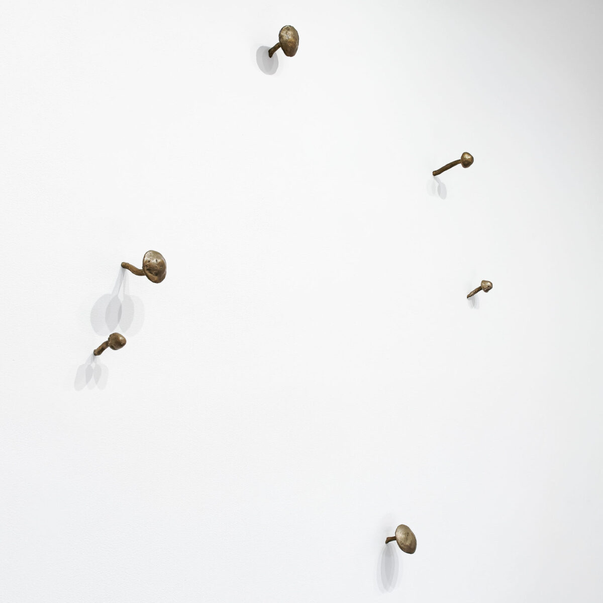 Mushrooms by Kiki Smith a 1999 sculpture at Krakow Witkin Gallery, Boston