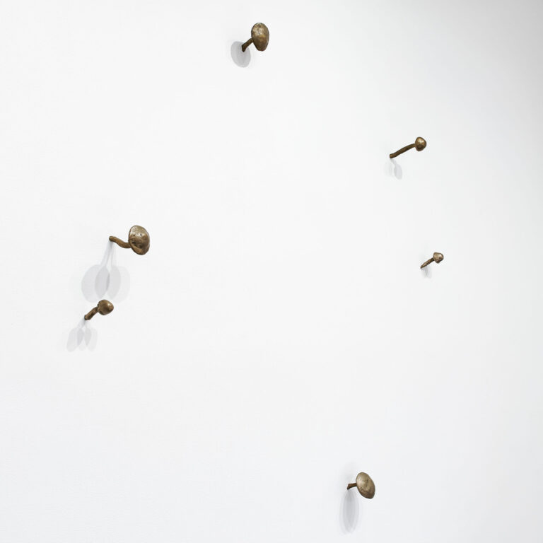 Mushrooms by Kiki Smith a 1999 sculpture at Krakow Witkin Gallery, Boston