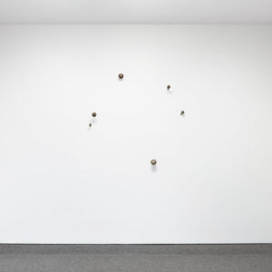 Mushrooms by Kiki Smith a 1999 sculpture at Krakow Witkin Gallery, Boston