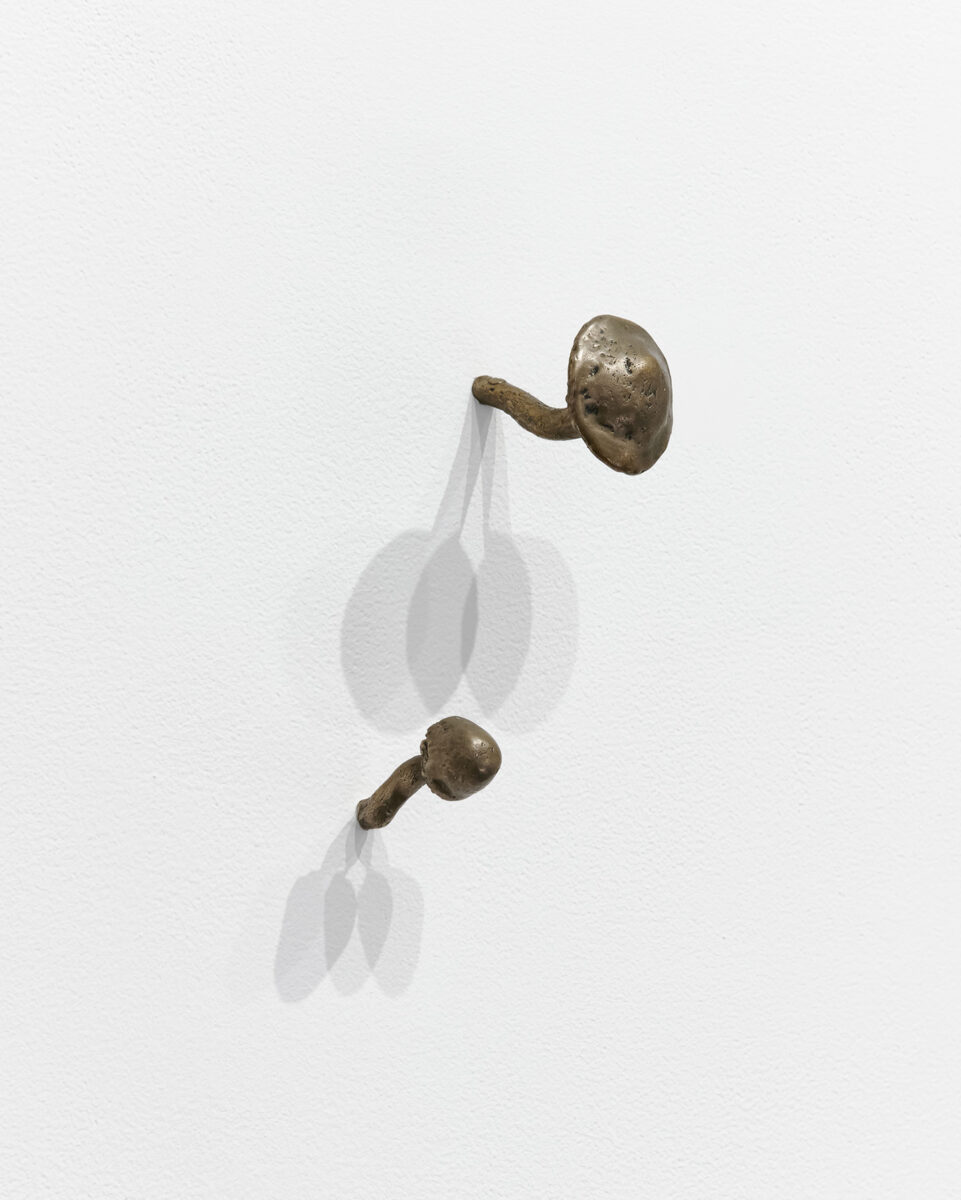 Mushrooms by Kiki Smith a 1999 sculpture at Krakow Witkin Gallery, Boston