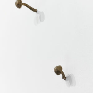 Mushrooms by Kiki Smith a 1999 sculpture at Krakow Witkin Gallery, Boston
