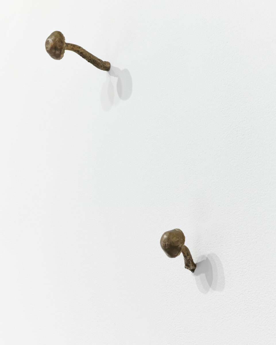 Mushrooms by Kiki Smith a 1999 sculpture at Krakow Witkin Gallery, Boston