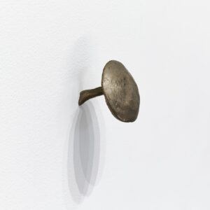 Mushrooms by Kiki Smith a 1999 sculpture at Krakow Witkin Gallery, Boston