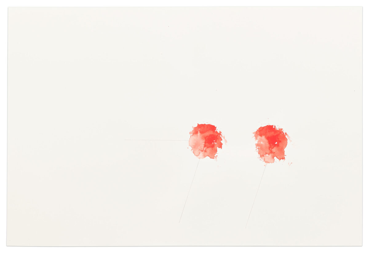 Stems, a drawing by Janet Passehl