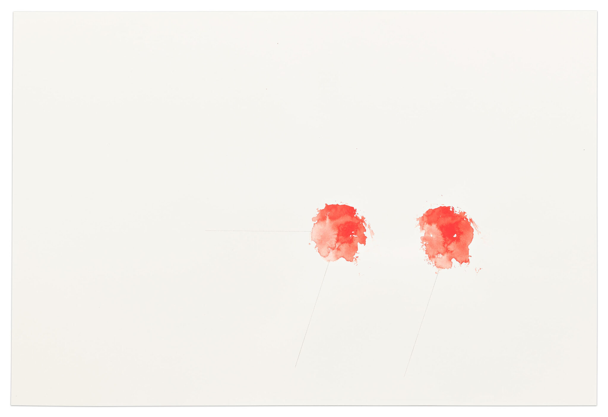 Stems, a drawing by Janet Passehl