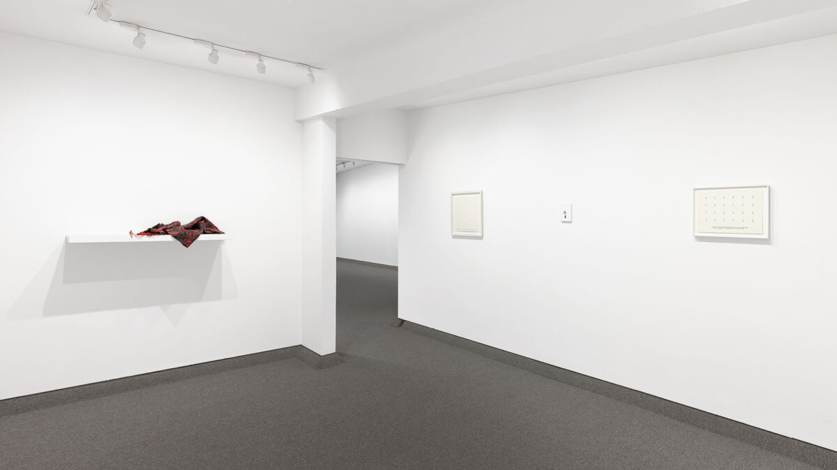 Installation view of "Liliana Porter and Douglas Huebler" at Krakow Witkin Gallery.
