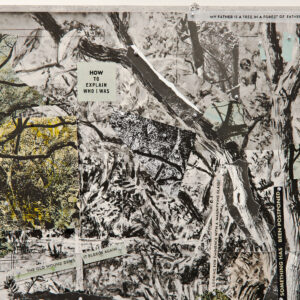 “How To Explain Who I Was” an original print by William Kentridge