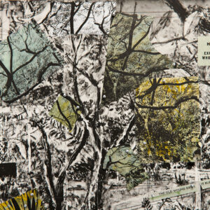 “How To Explain Who I Was” an original print by William Kentridge