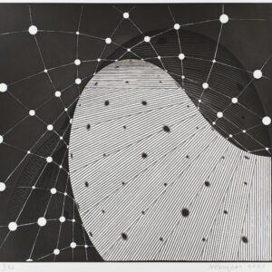 Lookout by Martin Puryear, a 2025 print at Krakow Witkin Gallery, Boston