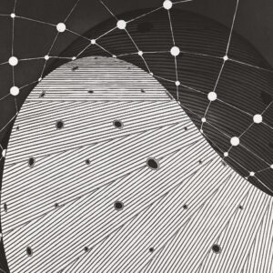 Lookout by Martin Puryear, a 2025 print at Krakow Witkin Gallery, Boston