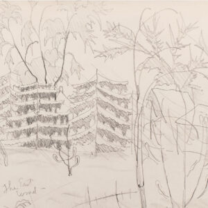 Ice Storm by Charles Burchfield, a 1915 drawing at Krakow Witkin Gallery, Boston