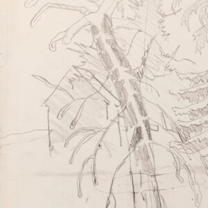 Ice Storm by Charles Burchfield, a 1915 drawing at Krakow Witkin Gallery, Boston