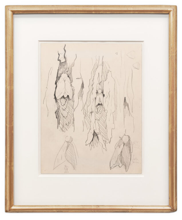 Moths on Tree Trunks by Charles Burchfield, a 1917 drawing at Krakow Witkin Gallery, Boston