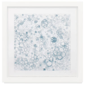 Untitled I-V by Tara Donovan, a 2004 set of prints at Krakow Witkin Gallery, Boston