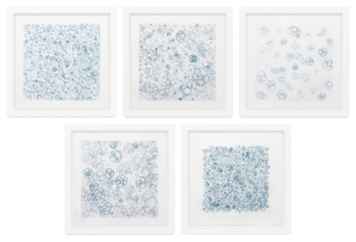 Untitled I-V by Tara Donovan, a 2004 set of prints at Krakow Witkin Gallery, Boston