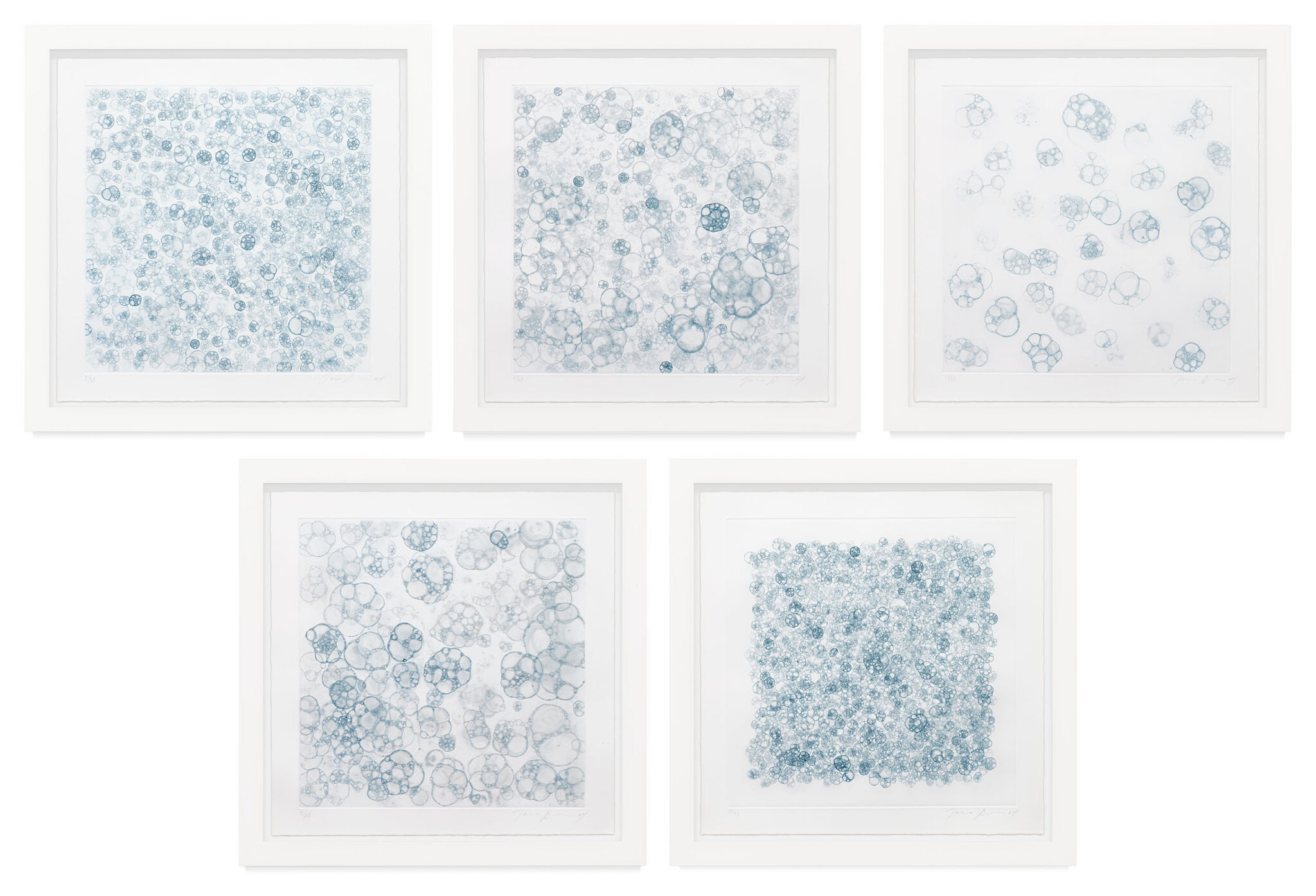 Untitled I-V by Tara Donovan, a 2004 set of prints at Krakow Witkin Gallery, Boston