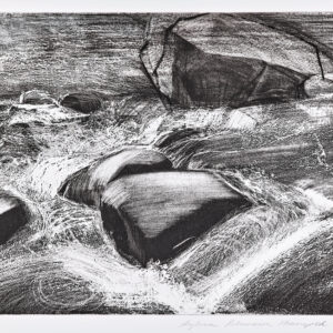 Elk River I by Sylvia Plimack Mangold, a 1993 Print at Krakow Witkin Gallery, Boston