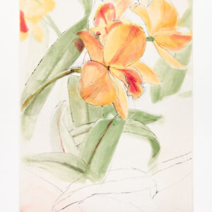 Hazel Boyd Eureka by Sylvia Plimack Mangold, a 1997 Print at Krakow Witkin Gallery, Boston