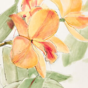 Hazel Boyd Eureka by Sylvia Plimack Mangold, a 1997 Print at Krakow Witkin Gallery, Boston