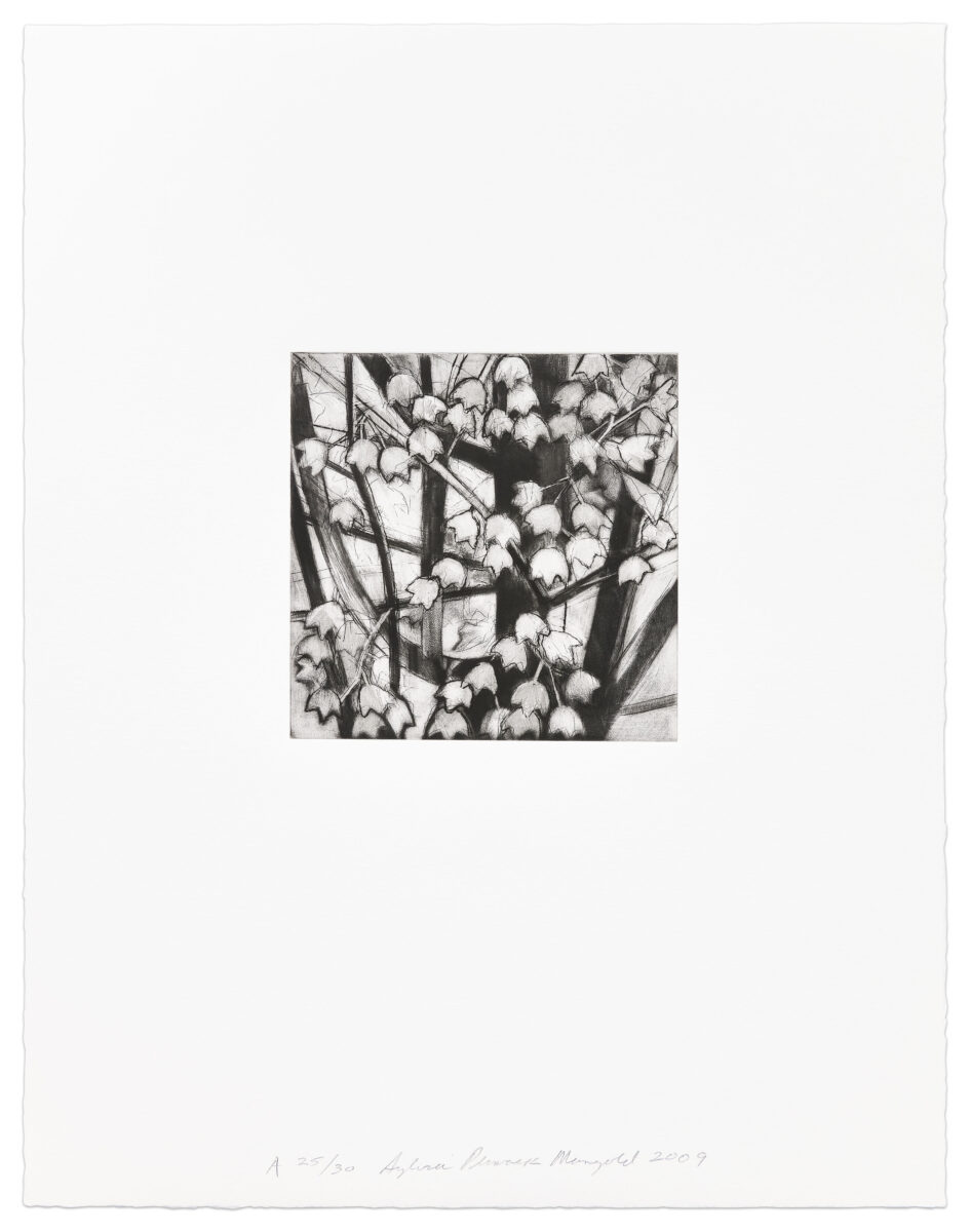 Maple Tree Detail A print by Sylvia Plimack Mangold, a 2009 Print at Krakow Witkin Gallery, Boston