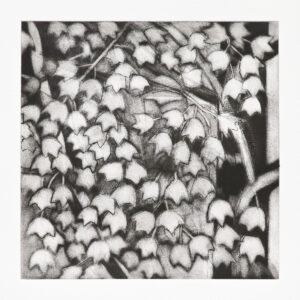 Maple Tree Detail B by Sylvia Plimack Mangold, a 2009 Print at Krakow Witkin Gallery, Boston