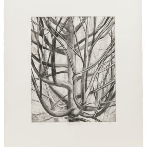 Maple Tree by Sylvia Plimack Mangold, a 1998 Print at Krakow Witkin Gallery, Boston