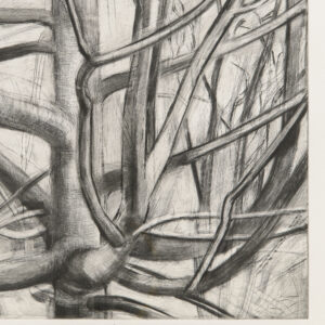 Maple Tree by Sylvia Plimack Mangold, a 1998 Print at Krakow Witkin Gallery, Boston