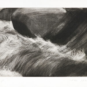 River Study by Sylvia Plimack Mangold, a 1993 Print at Krakow Witkin Gallery, Boston