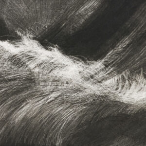 River Study by Sylvia Plimack Mangold, a 1993 Print at Krakow Witkin Gallery, Boston