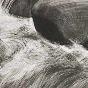 River Study by Sylvia Plimack Mangold, a 1993 Print at Krakow Witkin Gallery, Boston