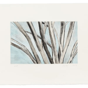 Winter Elm by Sylvia Plimack Mangold, a 1997 print at Krakow Witkin Gallery
