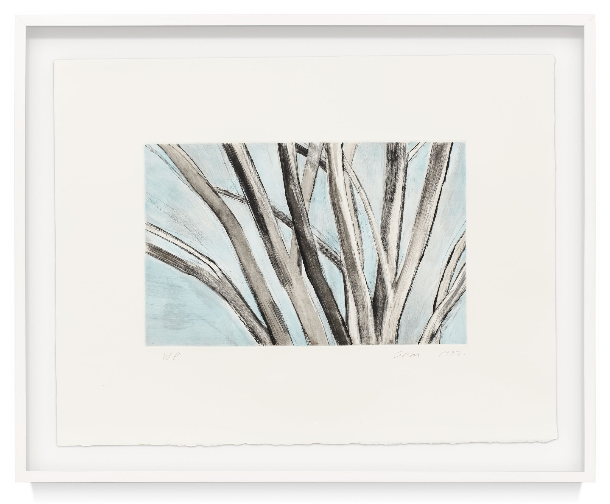 Winter Elm by Sylvia Plimack Mangold, a 1997 print at Krakow Witkin Gallery