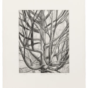 The Maple Tree by Sylvia Plimack Mangold, a 1999 Print at Krakow Witkin Gallery, Boston