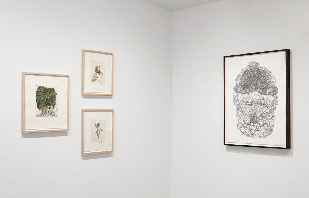 Installation view of Print Publisher Spotlight: Caira Art Editions at Krakow Witkin Gallery, Boston