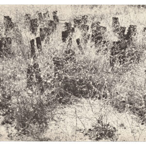 100 Boots by Eleanor Antin, a 1971-1973 Multiple at Krakow Witkin Gallery, Boston