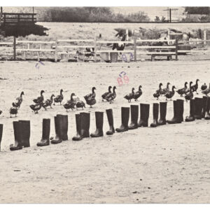 100 Boots by Eleanor Antin, a 1971-1973 Multiple at Krakow Witkin Gallery, Boston