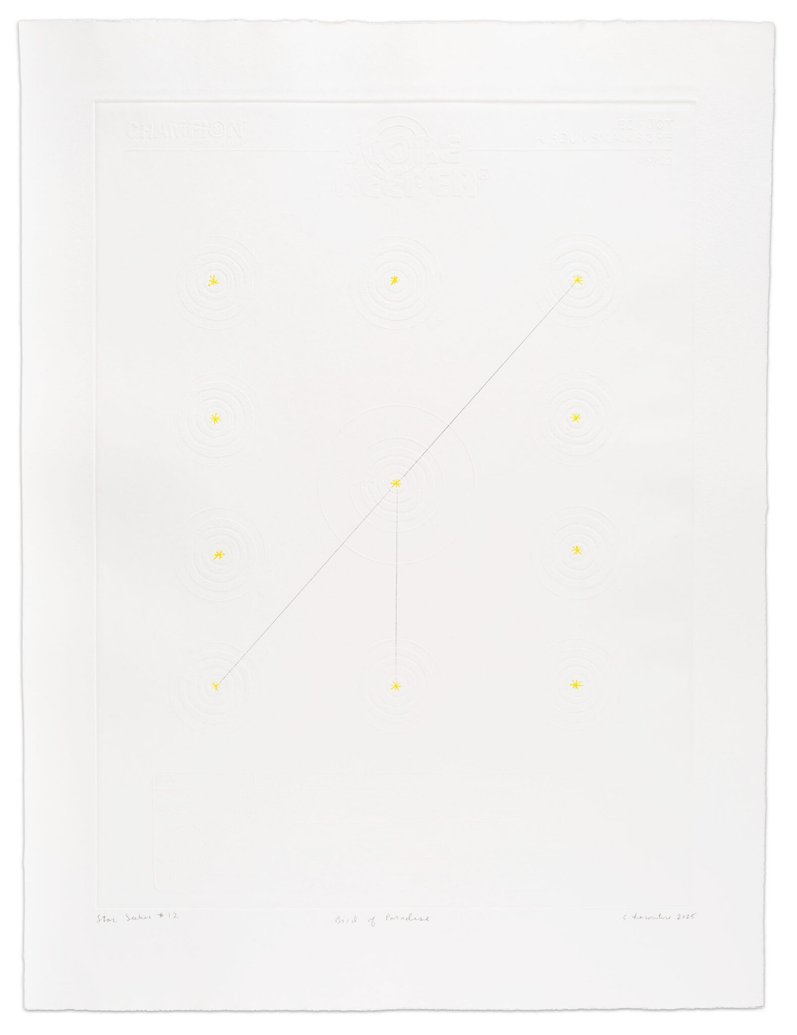 Star Seeker #12 (Bird of Paradise) by Crystalle Lacouture, a 2025 Print at Krakow Witkin Gallery, Boston