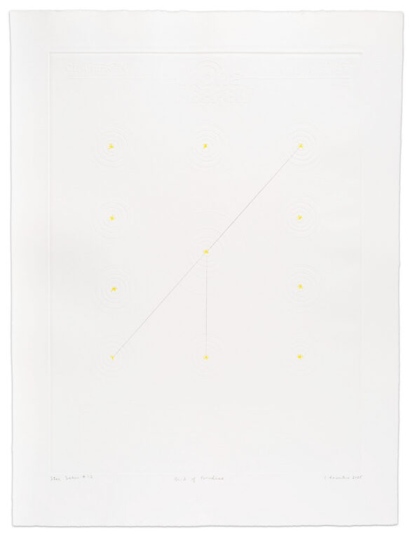 Star Seeker #12 (Bird of Paradise) by Crystalle Lacouture, a 2025 Print at Krakow Witkin Gallery, Boston