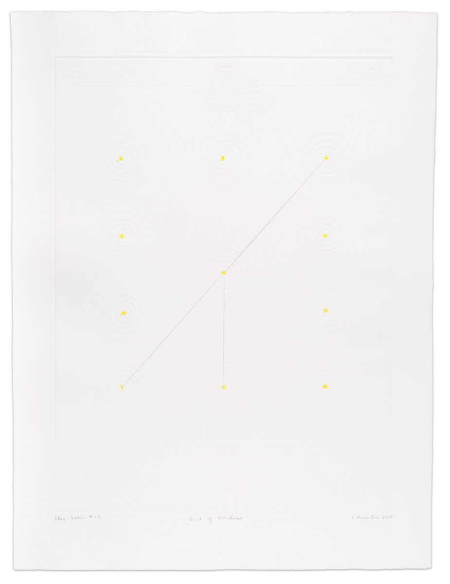 Star Seeker #12 (Bird of Paradise) by Crystalle Lacouture, a 2025 Print at Krakow Witkin Gallery, Boston