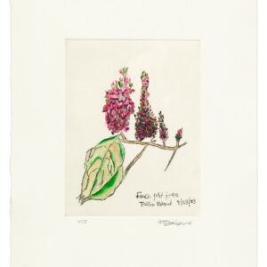 FENCE POST TREE TASSO ISLAND by Zainab Sumu, a 2025 Print at Krakow Witkin Gallery, Boston
