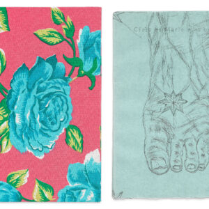 The Blue Feet by Kiki Smith, a 2003 Artist Book at Krakow Witkin Gallery, Boston