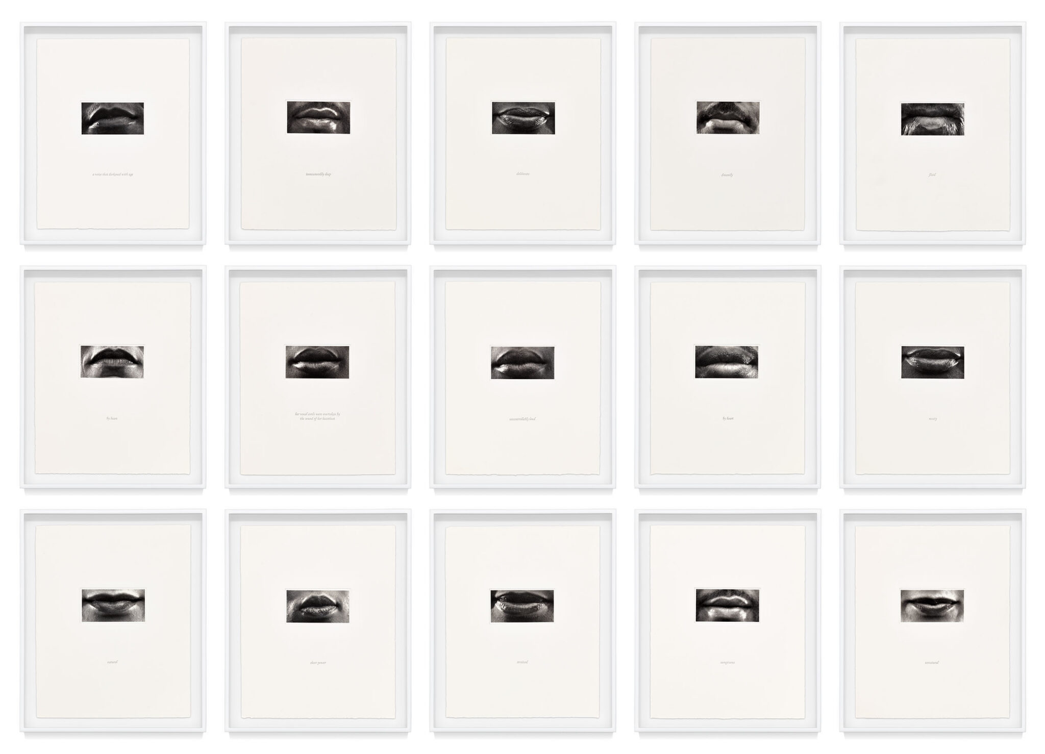 15 Mouths by Lorna Simpson, a 2002 set of 15 prints at Krakow Witkin Gallery, Boston