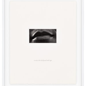 15 Mouths by Lorna Simpson, a 2002 set of 15 prints at Krakow Witkin Gallery, Boston
