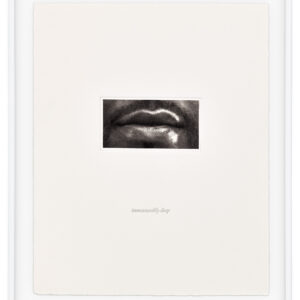 15 Mouths by Lorna Simpson, a 2002 set of 15 prints at Krakow Witkin Gallery, Boston