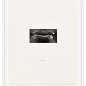 15 Mouths by Lorna Simpson, a 2002 set of 15 prints at Krakow Witkin Gallery, Boston