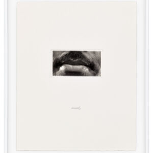 15 Mouths by Lorna Simpson, a 2002 set of 15 prints at Krakow Witkin Gallery, Boston
