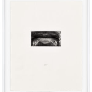 15 Mouths by Lorna Simpson, a 2002 set of 15 prints at Krakow Witkin Gallery, Boston